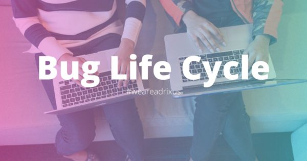 What is Bug Life Cycle?